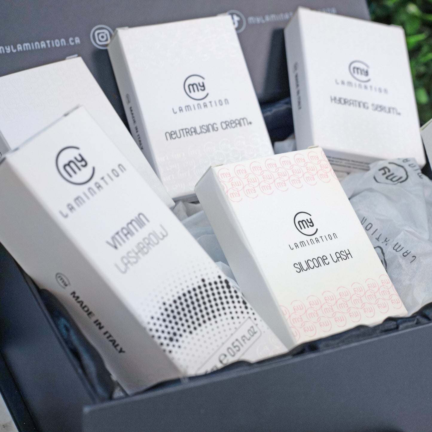 Mini Lash Kit Bundle